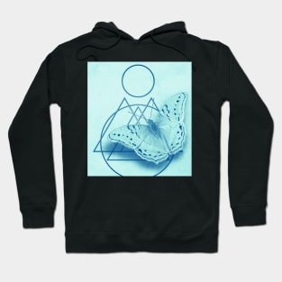 Butterfly in an abstract landscape Hoodie